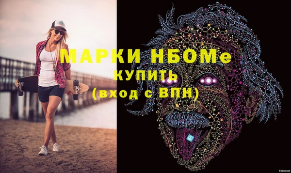 индика Гусь-Хрустальный