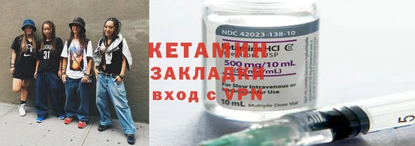индика Гусь-Хрустальный