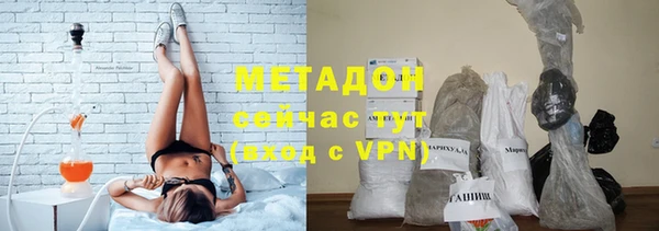 PSILOCYBIN Гусиноозёрск