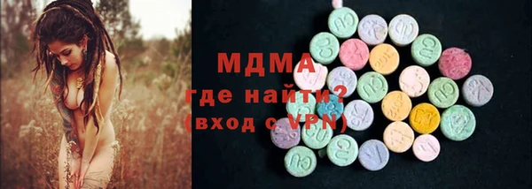 индика Гусь-Хрустальный