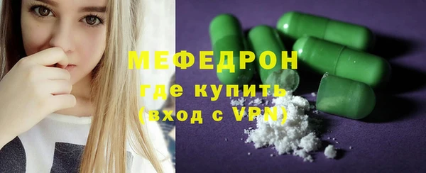 индика Гусь-Хрустальный
