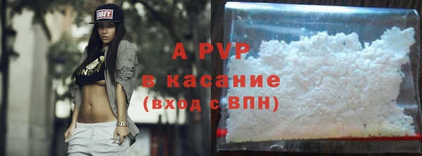 индика Гусь-Хрустальный