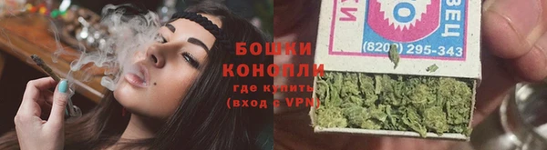 PSILOCYBIN Гусиноозёрск