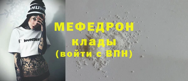 индика Гусь-Хрустальный