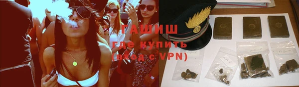 индика Гусь-Хрустальный