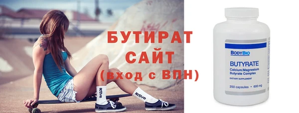 индика Гусь-Хрустальный