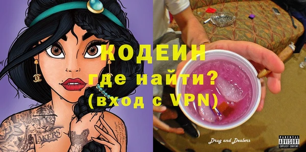 индика Гусь-Хрустальный