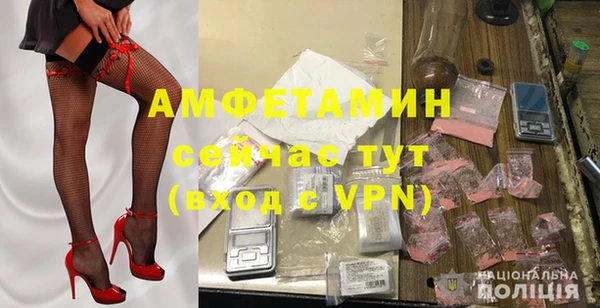 индика Гусь-Хрустальный