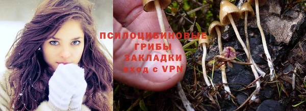 PSILOCYBIN Гусиноозёрск