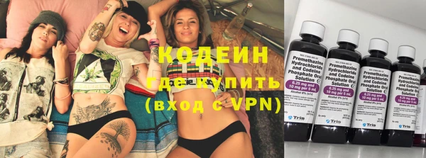 индика Гусь-Хрустальный