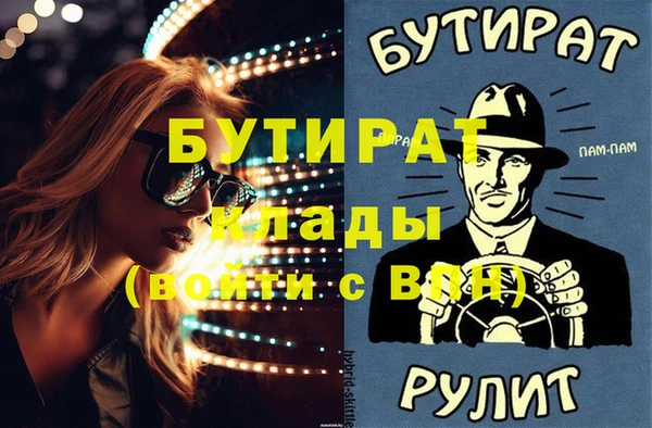 индика Гусь-Хрустальный
