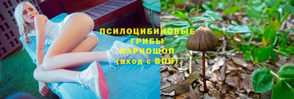 jwh Гусев