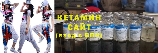 индика Гусь-Хрустальный