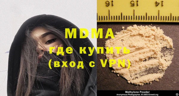 индика Гусь-Хрустальный
